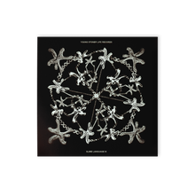 Load image into Gallery viewer, SLIME LANGUAGE 3 CD
